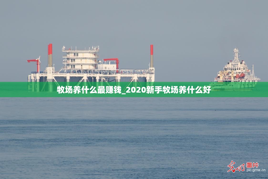 牧场养什么最赚钱_2020新手牧场养什么好