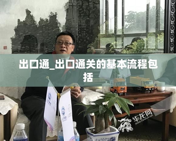 出口通_出口通关的基本流程包括