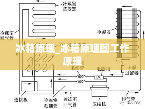 冰箱原理_冰箱原理图工作原理