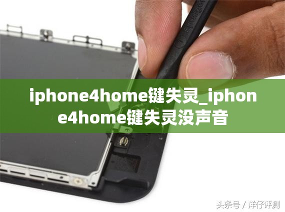 iphone4home键失灵_iphone4home键失灵没声音