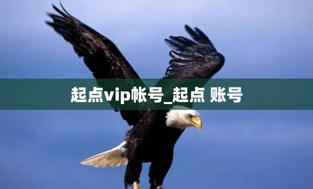 起点vip帐号_起点 账号