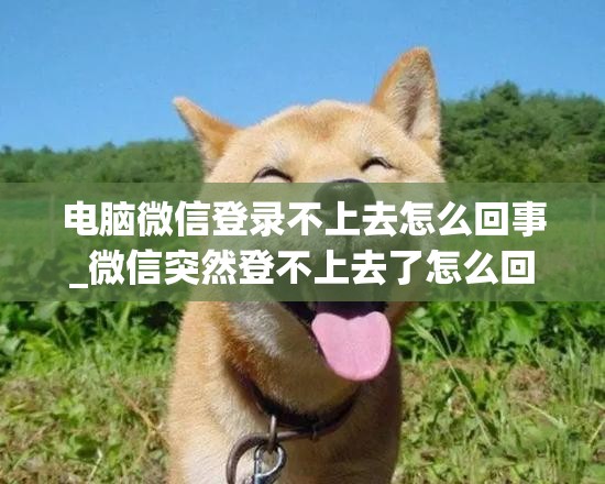 电脑微信登录不上去怎么回事_微信突然登不上去了怎么回事