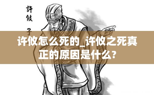 许攸怎么死的_许攸之死真正的原因是什么?