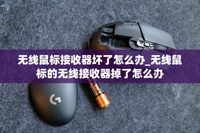 无线鼠标接收器坏了怎么办_无线鼠标的无线接收器掉了怎么办