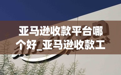 亚马逊收款平台哪个好_亚马逊收款工具对比