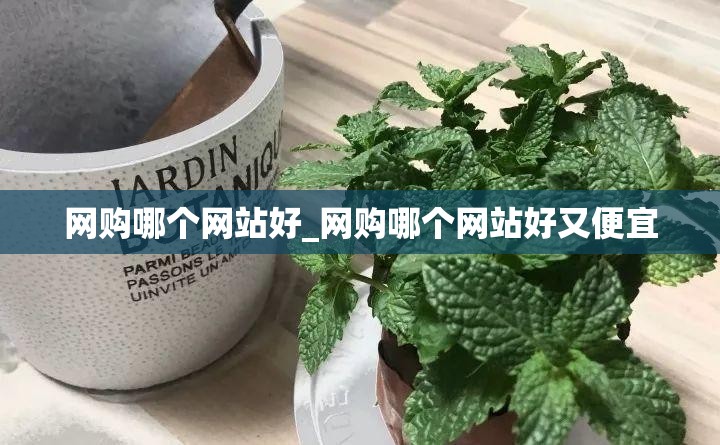 网购哪个网站好_网购哪个网站好又便宜