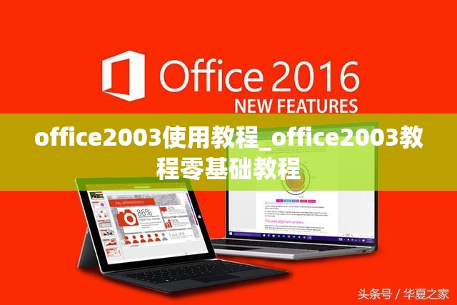 office2003使用教程_office2003教程零基础教程