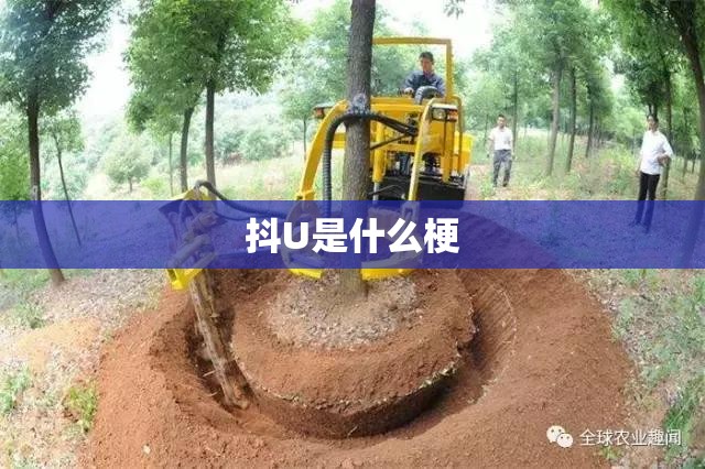 抖U是什么梗