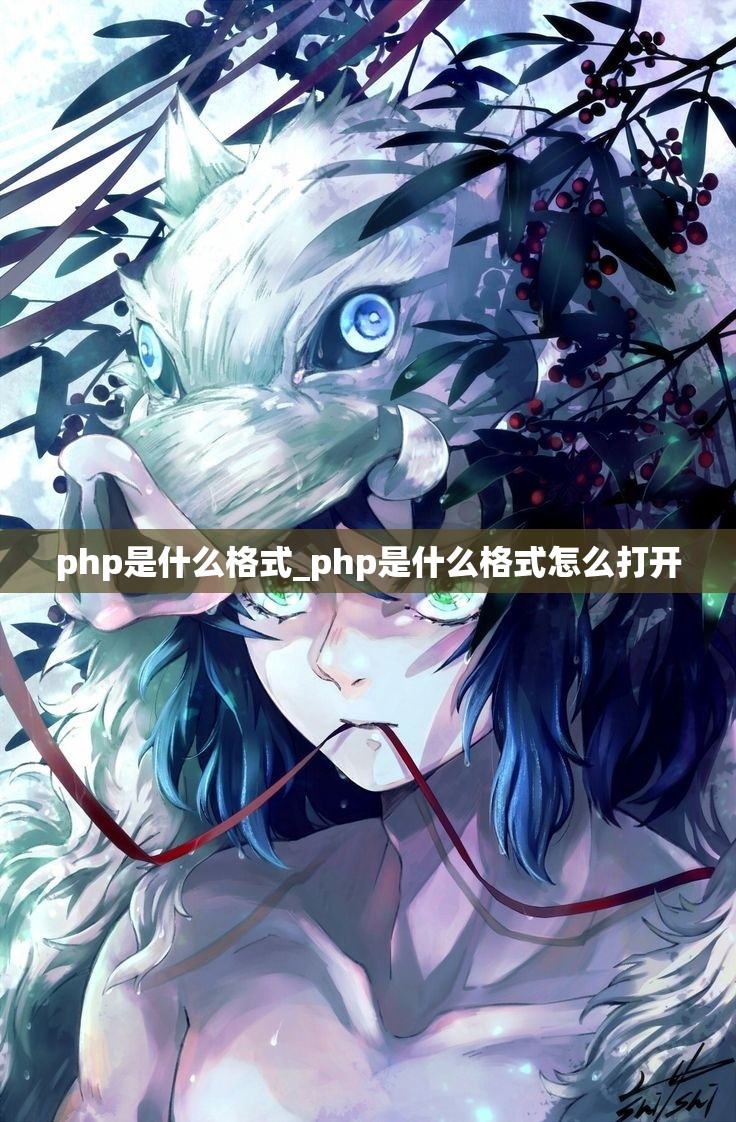 php是什么格式_php是什么格式怎么打开