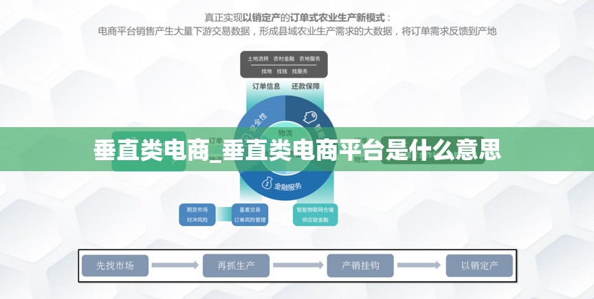 垂直类电商_垂直类电商平台是什么意思