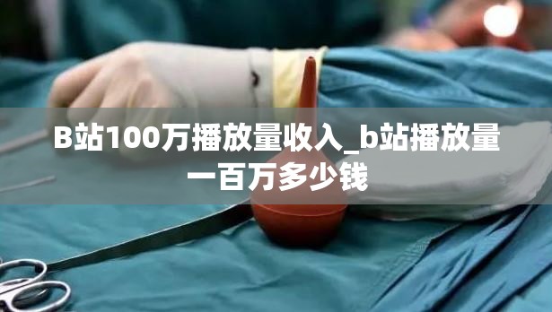 B站100万播放量收入_b站播放量一百万多少钱