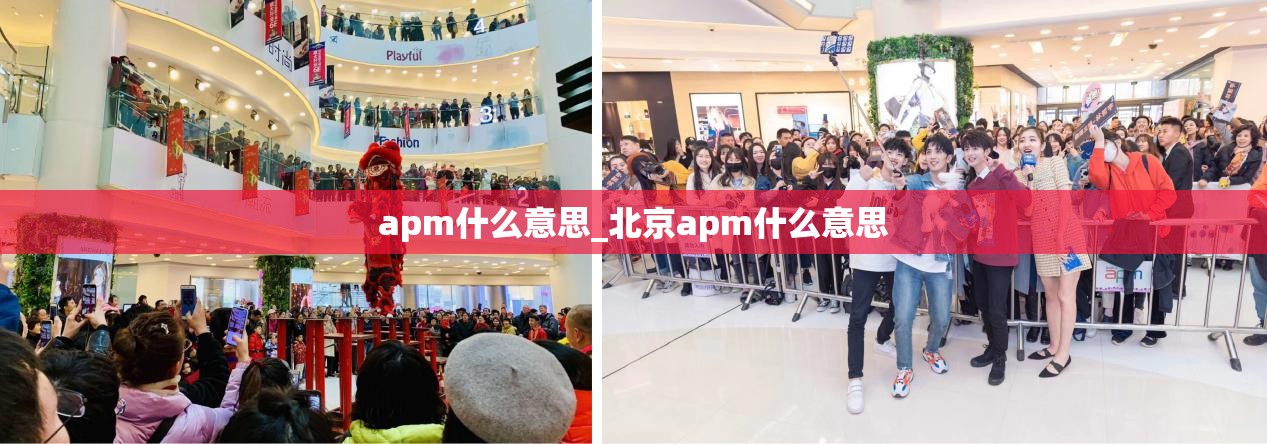 apm什么意思_北京apm什么意思