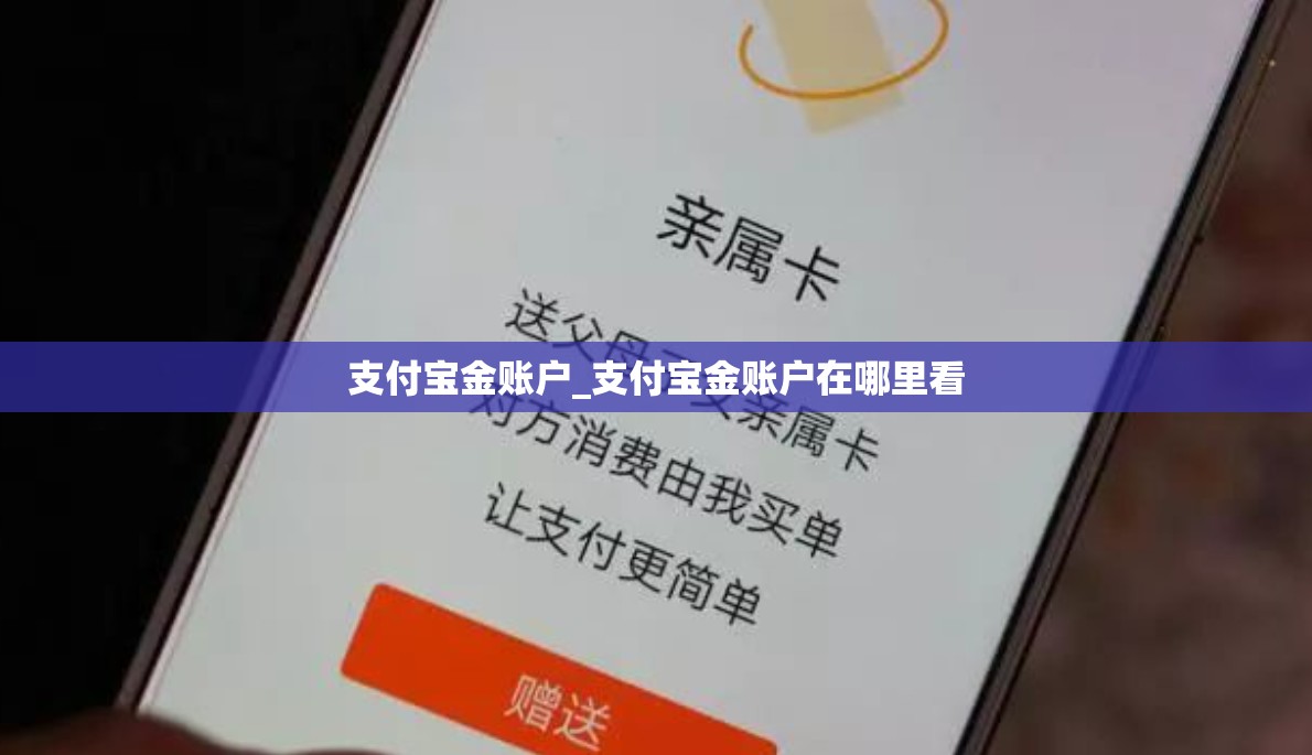 支付宝金账户_支付宝金账户在哪里看