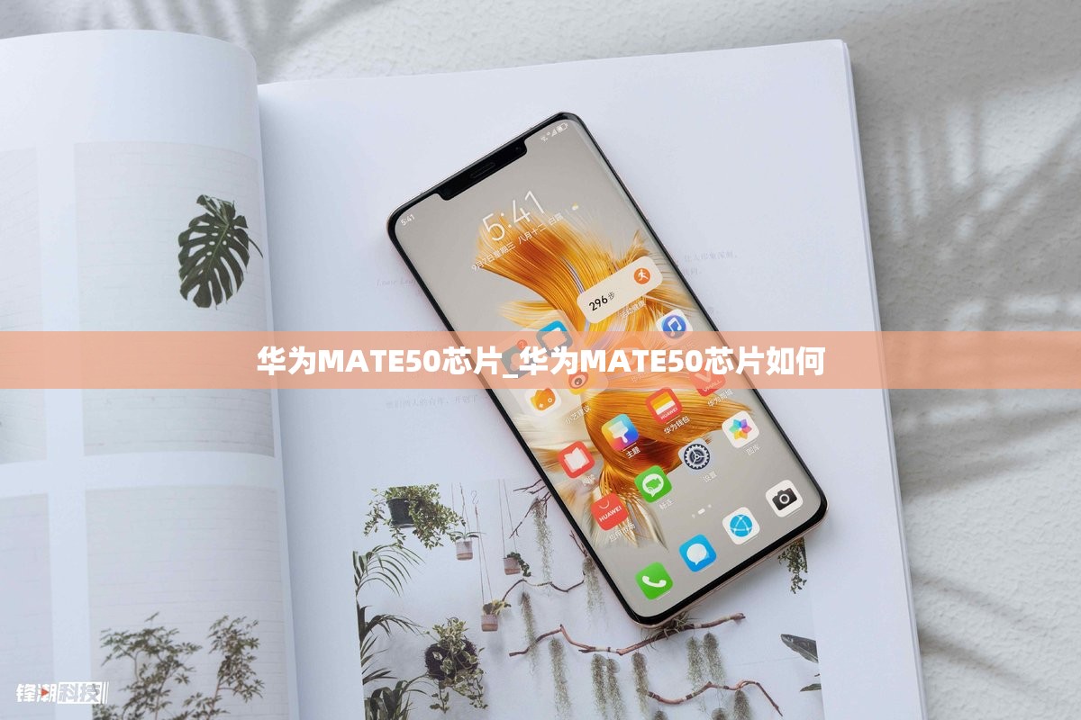 华为MATE50芯片_华为MATE50芯片如何