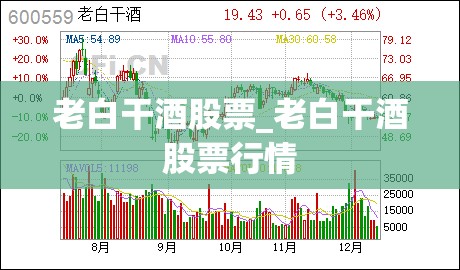 老白干酒股票_老白干酒股票行情