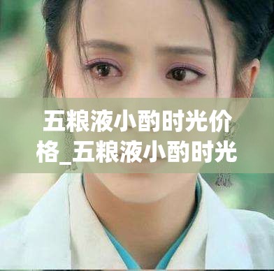 五粮液小酌时光价格_五粮液小酌时光奢藏怎么样