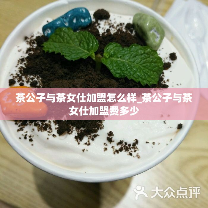 茶公子与茶女仕加盟怎么样_茶公子与茶女仕加盟费多少