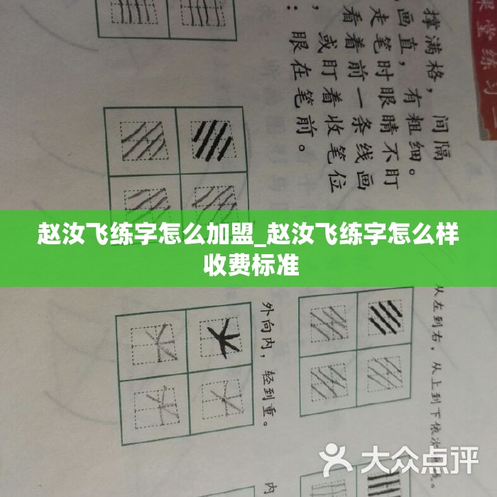 赵汝飞练字怎么加盟_赵汝飞练字怎么样 收费标准