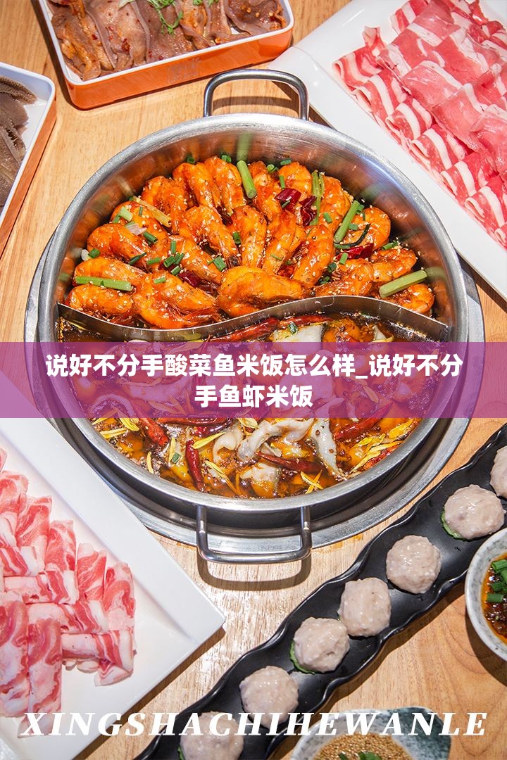 说好不分手酸菜鱼米饭怎么样_说好不分手鱼虾米饭