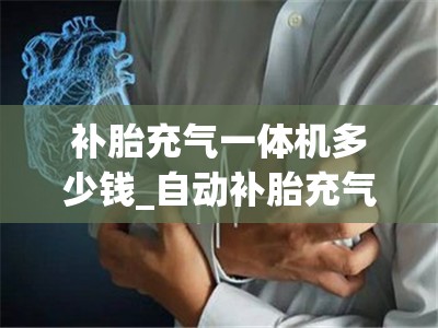 补胎充气一体机多少钱_自动补胎充气机