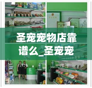 圣宠宠物店靠谱么_圣宠宠物用品有限公司