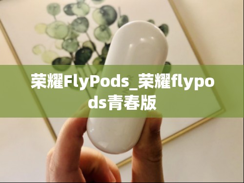 荣耀FlyPods_荣耀flypods青春版