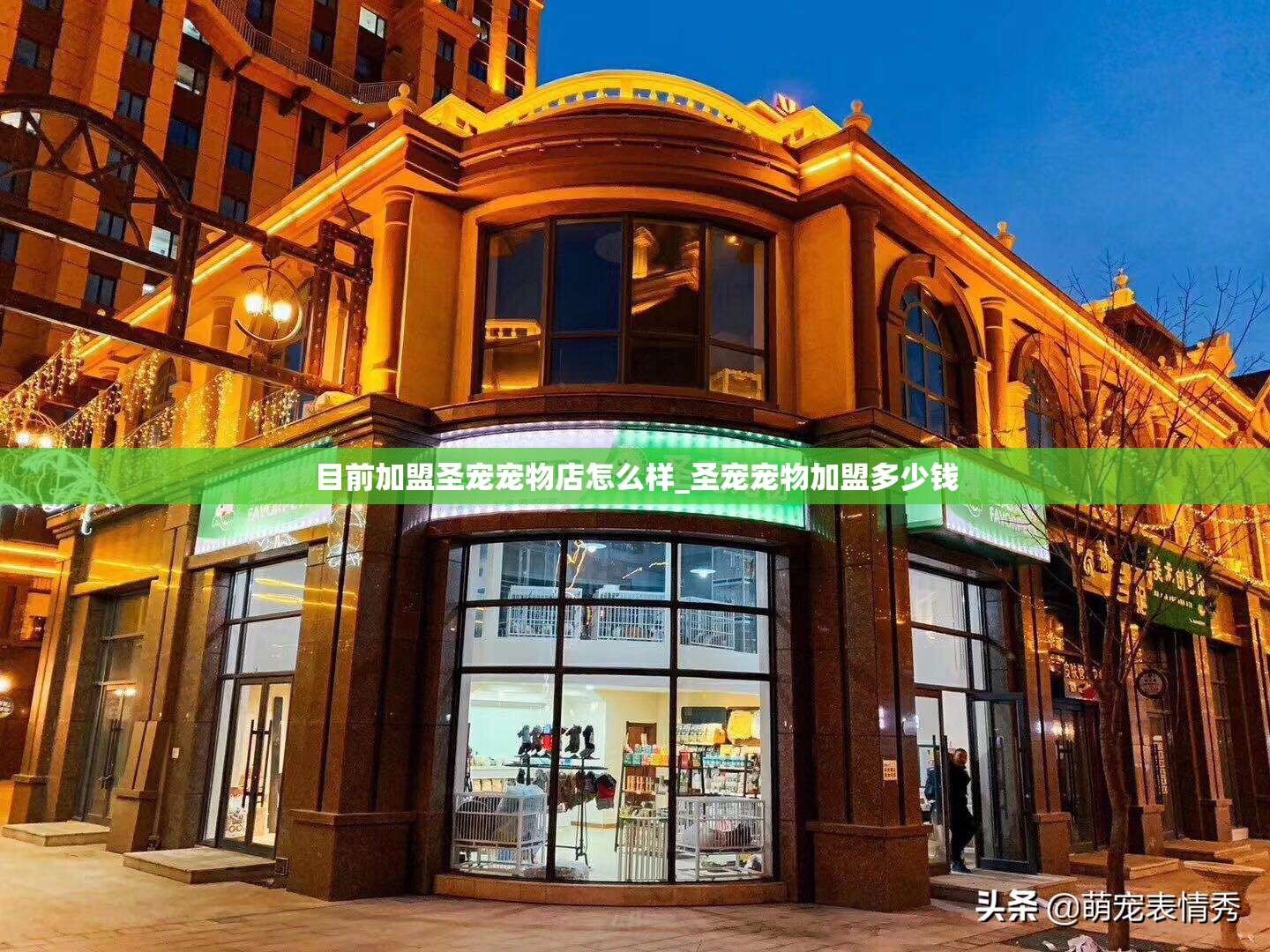 目前加盟圣宠宠物店怎么样_圣宠宠物加盟多少钱