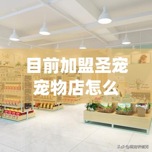 目前加盟圣宠宠物店怎么样_圣宠宠物加盟多少钱