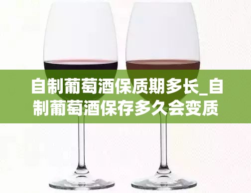 自制葡萄酒保质期多长_自制葡萄酒保存多久会变质