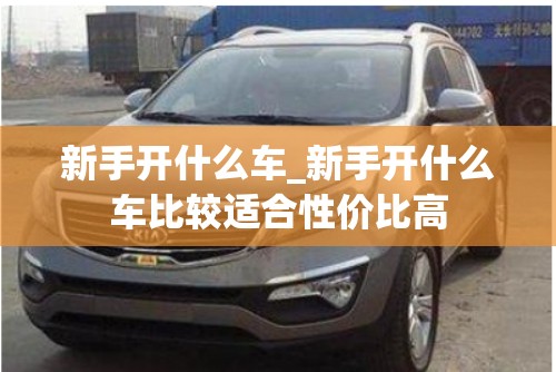 新手开什么车_新手开什么车比较适合性价比高