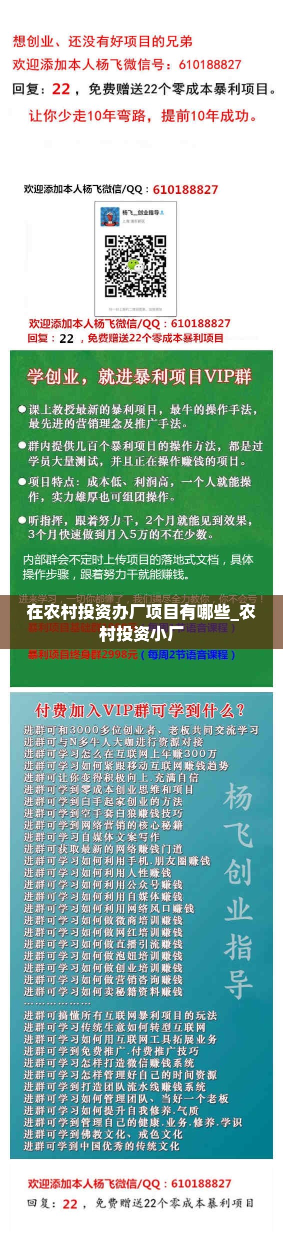 在农村投资办厂项目有哪些_农村投资小厂