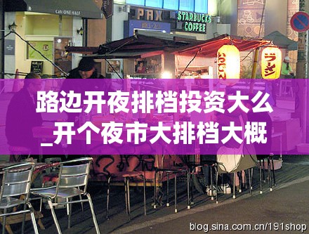 路边开夜排档投资大么_开个夜市大排档大概需要多少钱