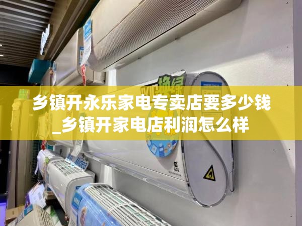 乡镇开永乐家电专卖店要多少钱_乡镇开家电店利润怎么样