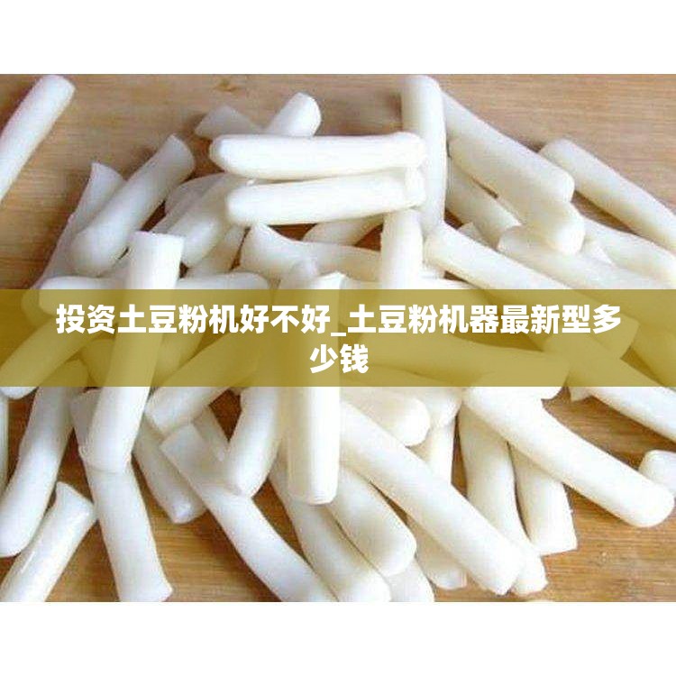 投资土豆粉机好不好_土豆粉机器最新型多少钱