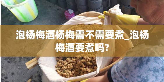 泡杨梅酒杨梅需不需要煮_泡杨梅酒要煮吗?