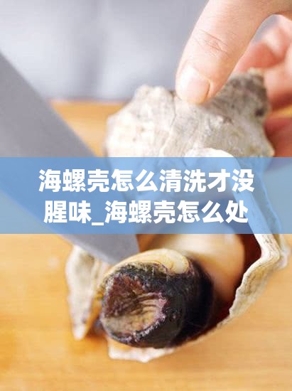 海螺壳怎么清洗才没腥味_海螺壳怎么处理不臭