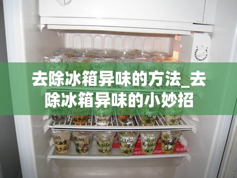 去除冰箱异味的方法_去除冰箱异味的小妙招