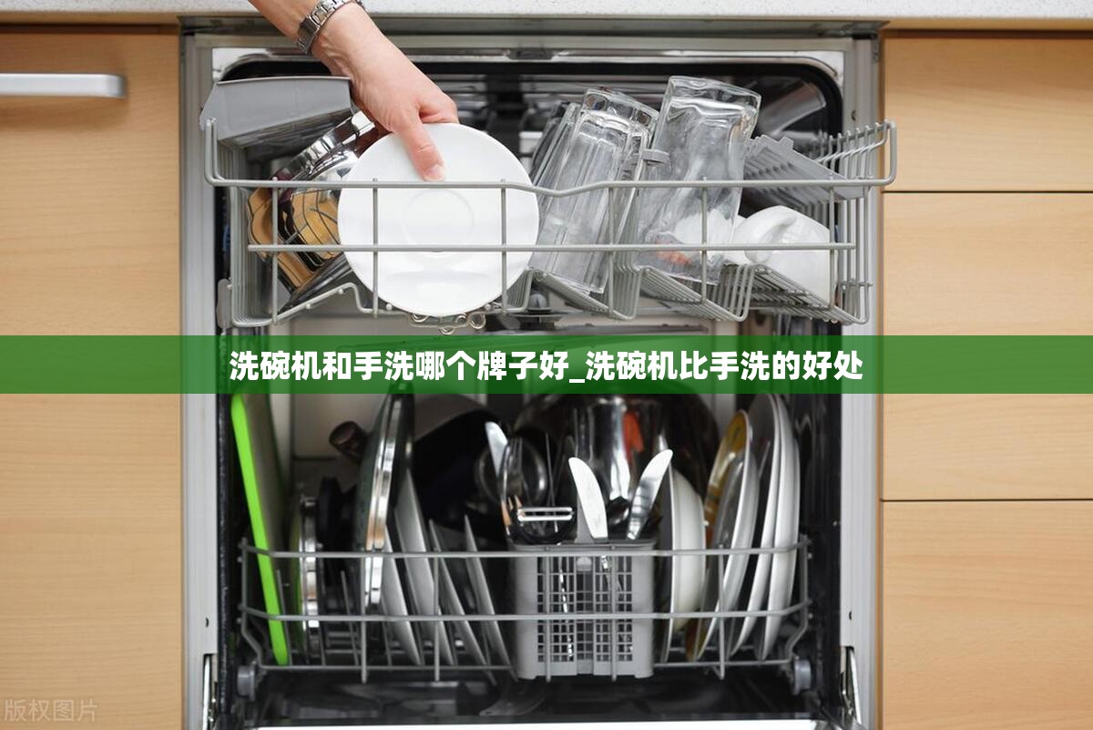 洗碗机和手洗哪个牌子好_洗碗机比手洗的好处
