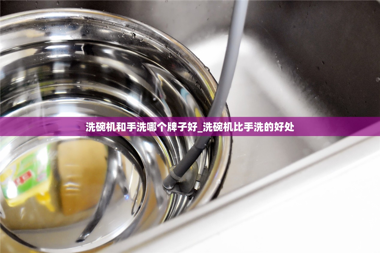 洗碗机和手洗哪个牌子好_洗碗机比手洗的好处