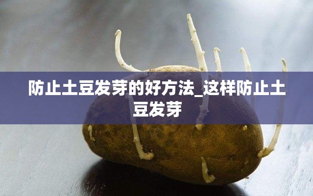 防止土豆发芽的好方法_这样防止土豆发芽