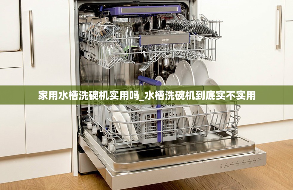 家用水槽洗碗机实用吗_水槽洗碗机到底实不实用