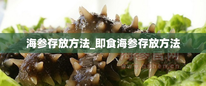 海参存放方法_即食海参存放方法