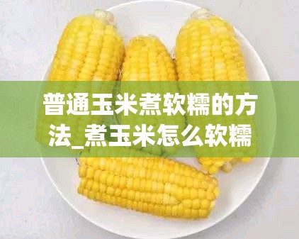 普通玉米煮软糯的方法_煮玉米怎么软糯