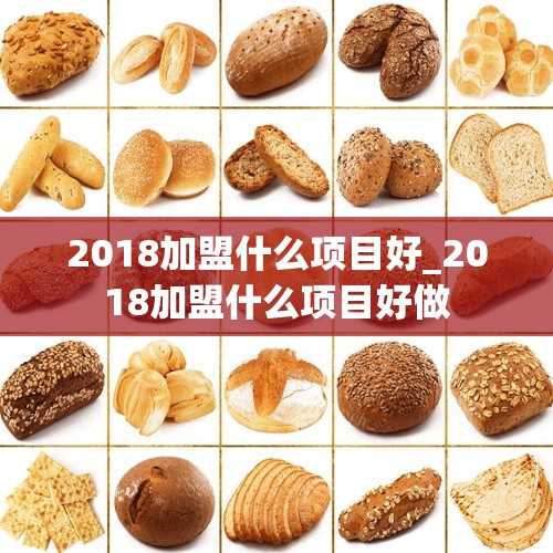 2018加盟什么项目好_2018加盟什么项目好做