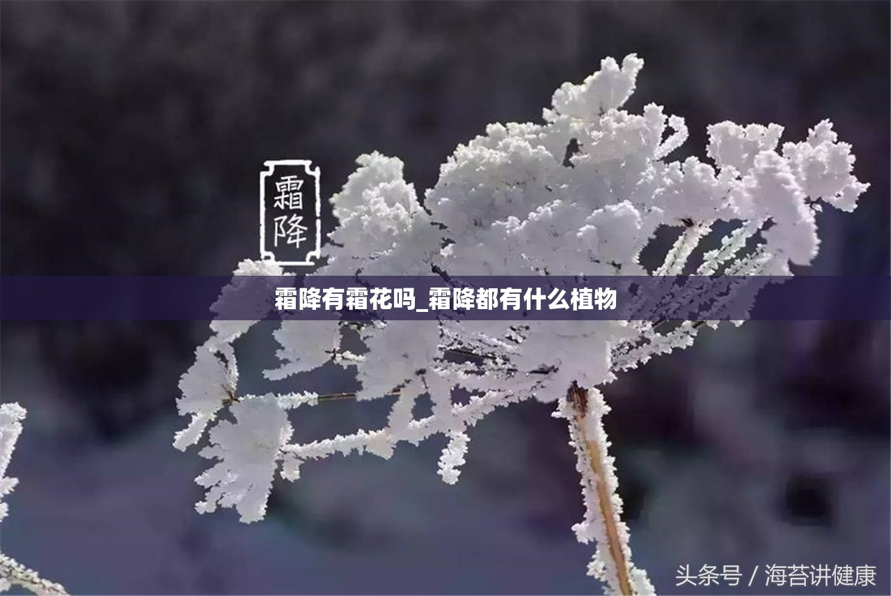 霜降有霜花吗_霜降都有什么植物