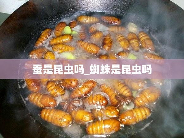 蚕是昆虫吗_蜘蛛是昆虫吗