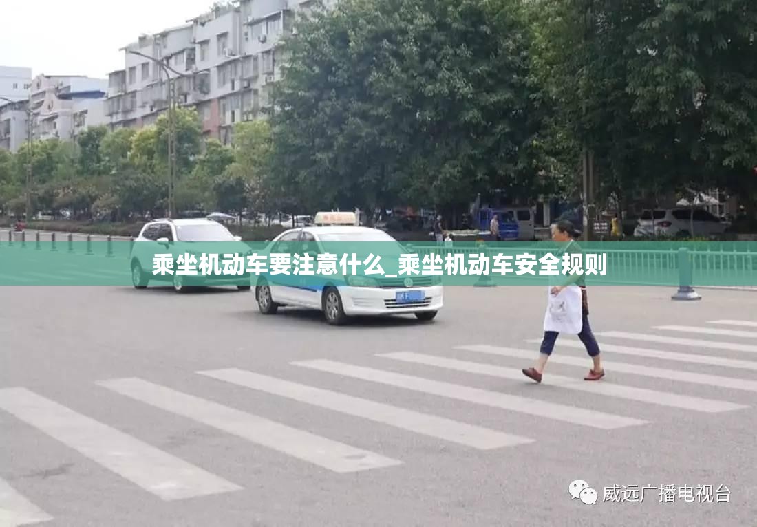 乘坐机动车要注意什么_乘坐机动车安全规则