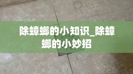 除蟑螂的小知识_除蟑螂的小妙招