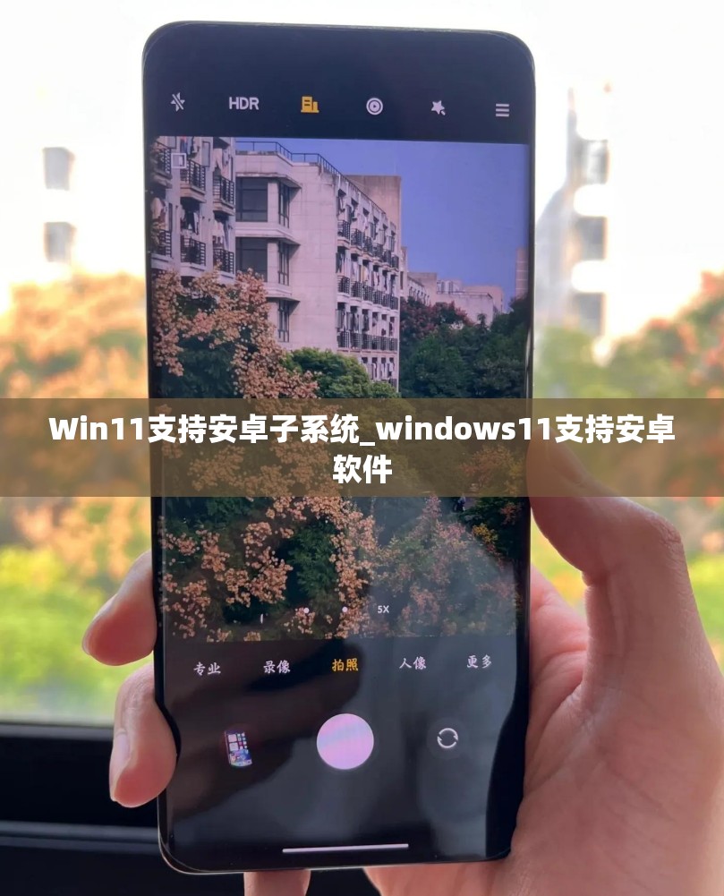 Win11支持安卓子系统_windows11支持安卓软件