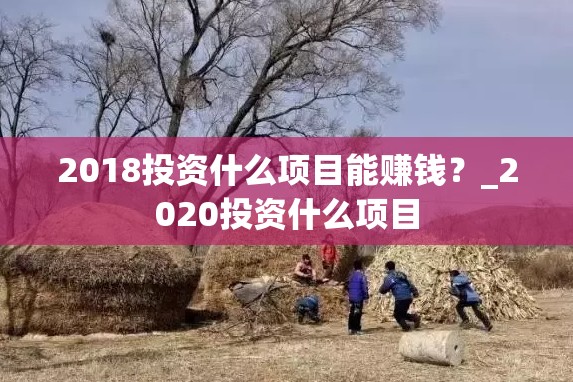 2018投资什么项目能赚钱？_2020投资什么项目